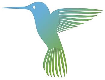 Google_Hummingbird_Update